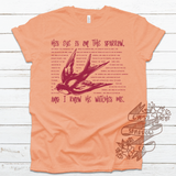 His Eye is on the Sparrow Lyrics Tee
