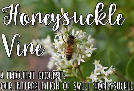 Honeysuckle Vine
