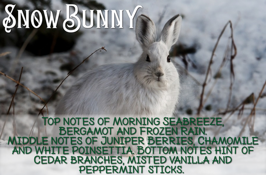 Snow Bunny